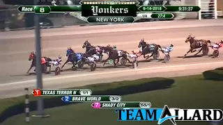 Brave World 6/14/18 #TeamAllard #horseracing