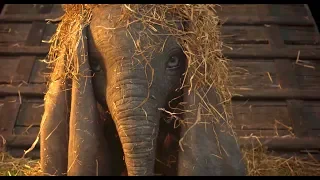 'Dumbo' Official Teaser Trailer (2019) | Colin Farrell, Danny DeVito