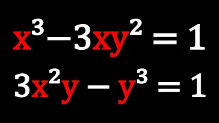 An Interesting Polynomial System