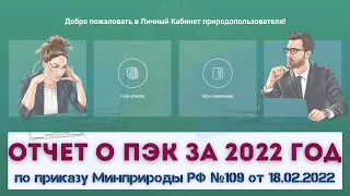 Отчет о ПЭК за 2022 год по приказу Минприроды РФ №109 от 18.02.2022