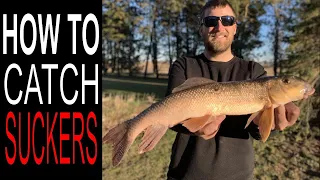 Fishing for Bait (Netting Wisconsin Suckers)