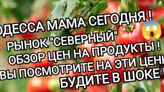 ОДЕССА СЕГОДНЯ ⚓ОБЗОР ЦЕН⚓ РЫНОК СЕВЕРНЫЙ🍅Я В ШОКЕ ОТ ЭТИХ ЦЕН🥦ЭТО НУЖНО ВИДЕТЬ🧅 КЛУБНИКА 🍓