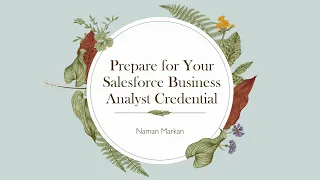 Salesforce Business Analyst  Introduction