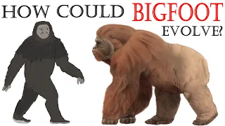 SPECULATIVE EVOLUTION OF BIGFOOT? - It's Not Gigantopithecus?