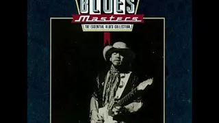 Blues Masters 9 - Postmodern Blues [Full Album]