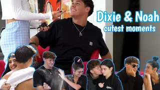 Dixie D'amelio & Noah beck | Cutest moments