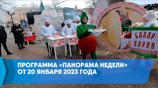 Программа «Панорама недели» от 20 января 2023 года