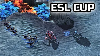 ESL CUP №146 и ЛАДДЕР! | Стрим от MindelVK по StarCraft 2 LotV