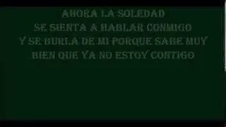 Luis Miguel del Amargue - SE ACABO LO BONITO "Letras"