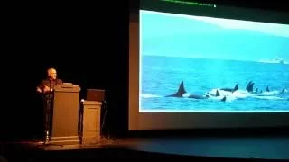 Superpod 5 - Jim Waddell - Salmon, Orca, Taxes, Dams and YOU!