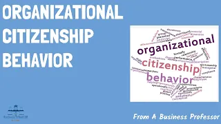 What is Organizational Citizenship Behavior (OCB) ? | From A Business Professor