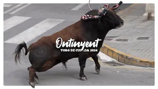 TORO DE CUERDA CV ▪ TEMPORADA 2024 | Episodio 3 ▶ Ontinyent