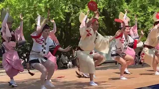 徳島城 阿波おどり。 平和連 。"Peace" Dance Troupe.