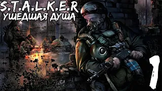 Прохождение S.T.A.L.K.E.R.: Ушедшая Душа — Часть #1 ◄ Контракт ►