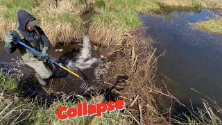 Beaver dam COLLAPSED during removal!