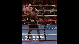 The momment when everyone thought deontay wilder had knocked out tyson fury