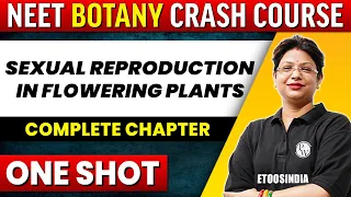 SEXUAL REPRODUCTION IN FLOWERING PLANTS in 1 Shot - All Concepts, Tricks & PYQ's Covered | NEET