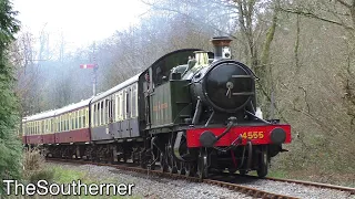 South Devon Railway - 'Spring Steam Gala' 14/03/2020