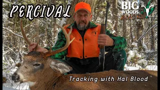 PERCIVAL | Tracking with Hal Blood