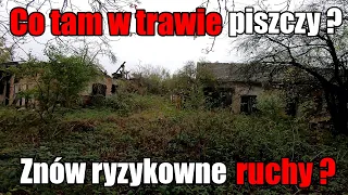 Znów ryzykowne ruchy | Wszyscy zdrowi | Apetyt rośnie w miarę jedzenia... #budowlańcy #farys.pl