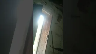 cobra on the door