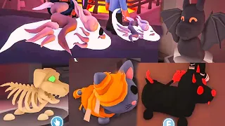 NEW Halloween Pets + Surprise Cat Box  Adopt Me Update