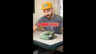 Let’s talk Dumpy. Who is she? Is the giant frog REAL? #bigfrog #vfx #cgi #zachking #funnyanimals