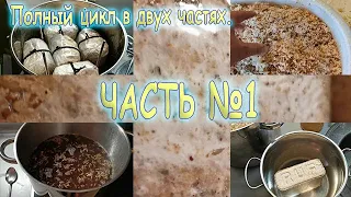 22. Полный цикл выращивания ежовика гребенчатого в двух частях. Часть №1