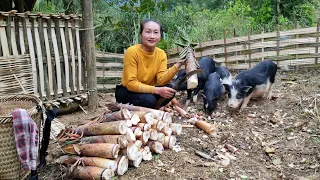 Harvest giant bamboo shoots bring to the market to sell, Gardening | Ly Thi Tam