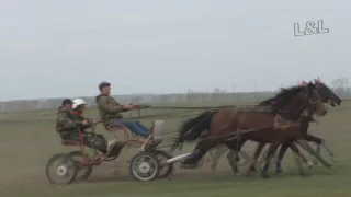 Русская тройка- Райкова 2016  (Лошади-Horse–Animal-racing-конь-смотреть-онлайн-скачки)