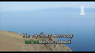 Детские   Ах Вы Сени Мои Сени