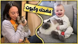 قطط مضحكة جداً - اضحك مع القطط حتي البكاء 😂 (جديد 2019)#9