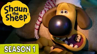 Bitzer's Toothache & Camping Chaos | Shaun the Sheep Season 1 Full Episodes | Cartoons for Kids