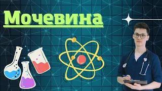 Биохимия мочевины