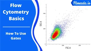 Flow Cytometry Basics: How To Use Gates (floreada.io)