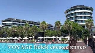 2022 Voyage Belek GOLF & SPA 5* Отель Вояж Белек не обзор. Номер, пляж, еда рестораны, детский клуб