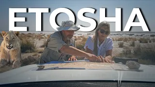 Discovering the Wonders of ETOSHA