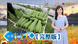 雲林莿桐前三大豆皮廠 外銷美國年收破千萬/始祖挺過家庭風暴 芋頭酥年銷千萬顆/當鋪老闆棄珠寶轉行 為愛女拚成百噸絲瓜王/八歲製茶意外斷兩指 茶四代轉型拚觀光【台灣真善美】2023.05.07✦全集✦