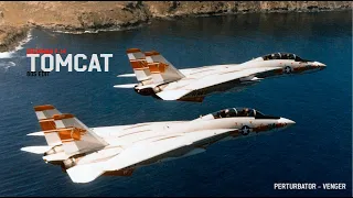 80s TOMCAT