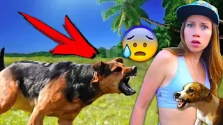 БЕЗДОМНАЯ СОБАКА НАПАЛА Когда мы шли в Заброшенный Отель | Elli Di Pets