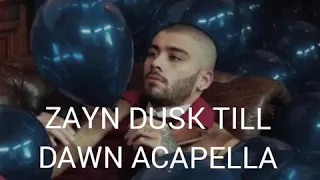 ZAYN Dusk till dawn Acapella version