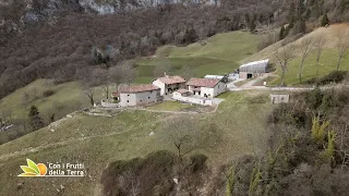 Contrada Bricconi dalla stalla alla Stella