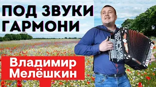 Красивейшая песня!Под звуки гармони. Владимир Мелёшкин.