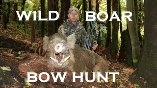 BOWHUNT WILD BOARS