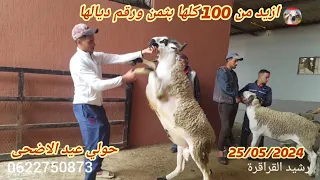 اليوم أزيد من 100 حولي كل حولي بالرقم وتمان ديالو عند رشيد في مدينة سطات طريق كيسر