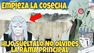 EL MISTERIOSO ORIGEN DE LOS OTSUTSUKI | EMPIEZA LA COSECHA | (URASHIKI VS TONERI) BORUTO: NARUTO NEX