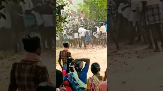 Kombu Vacha Singam