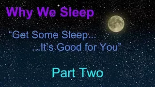 Why We Sleep - Part Two: "Sleep and the Brain