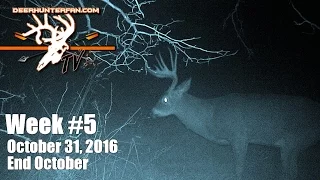 Two Bow Kills in NY | EP5 2016 Online Show