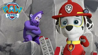 Marshall rescues a Humquatch from a dangerous cliffside! | PAW Patrol Episode | Cartoons for Kids